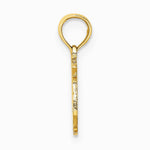 10K / 14K Yellow Gold 100% PISCES Zodiac Charm - Product Photo