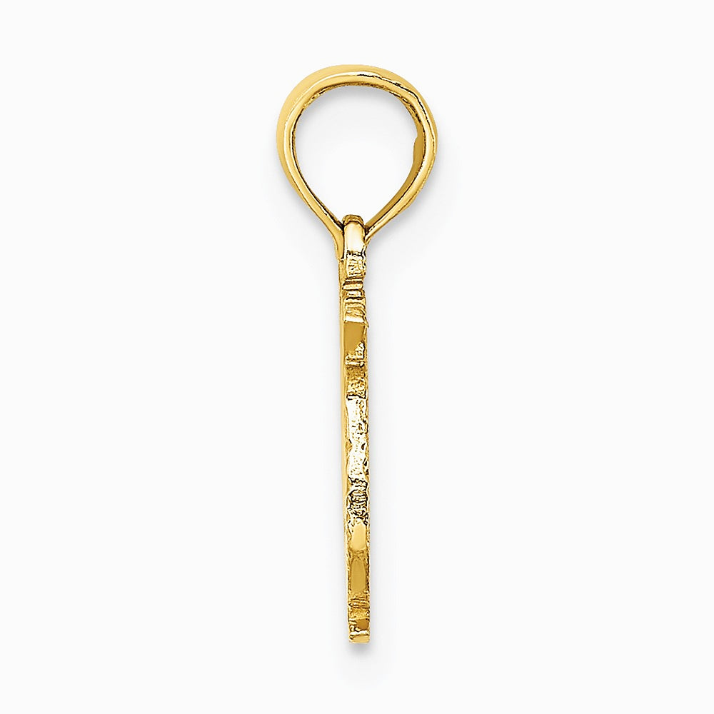 10K / 14K Yellow Gold 100% PISCES Zodiac Charm - Product Photo