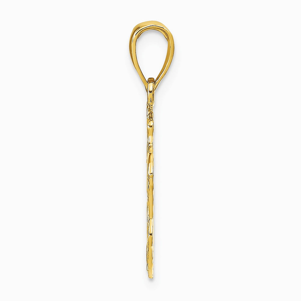 10K / 14K Yellow Gold Lion Head Pendant - Product Photo