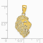 10K / 14K Yellow Gold Lion Head Pendant - Product Photo