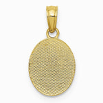 10K / 14K Yellow Gold Polished Small Fleur De Lis in Oval Pendant - Product Photo
