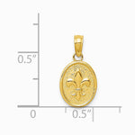 10K / 14K Yellow Gold Polished Small Fleur De Lis in Oval Pendant - Product Photo