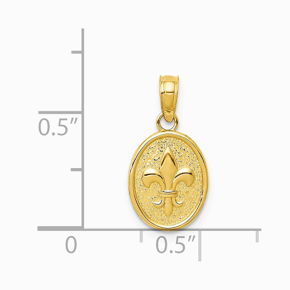 10K / 14K Yellow Gold Polished Small Fleur De Lis in Oval Pendant - Product Photo