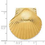 14K Yellow Gold Fits Up To 8mm and 10mm Medium Scallop Shell Slide - Product Photo