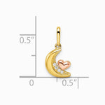 14K Two-tone CZ Moon with Heart Pendant - Product Photo