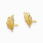 14K Yellow Gold Leaf Post Earrings - Product Photo