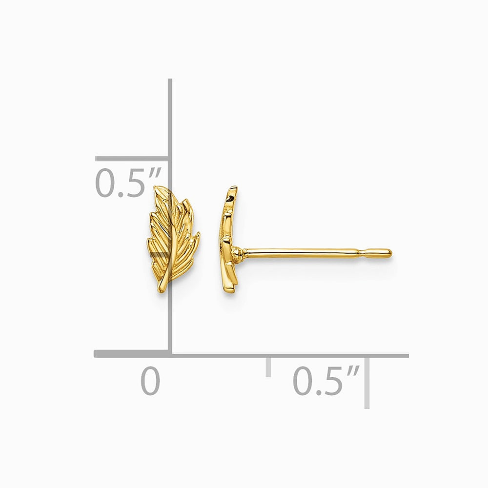 14K Yellow Gold Leaf Post Earrings - Product Photo