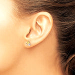 14K Yellow & Rhodium with Rose and White Rhodium Polished Stars Post Earrings - Product Photo