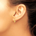 14K Yellow Gold Hinged Earrings - Product Photo