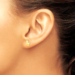 14K Yellow Gold Pony Screwback Earrings - Product Photo