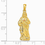 14K Yellow Gold with Rose-tone Polished Sacred Heart of Jesus Pendant - Product Photo