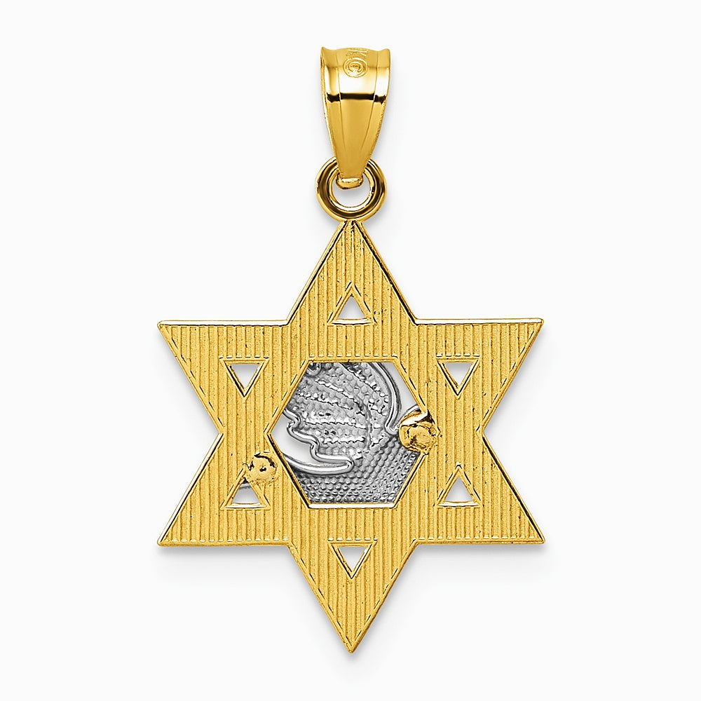 14K Two-tone Textured/Diamond-cut Dove On Star Of David Pendant - Product Photo