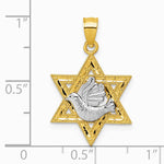 14K Two-tone Textured/Diamond-cut Dove On Star Of David Pendant - Product Photo
