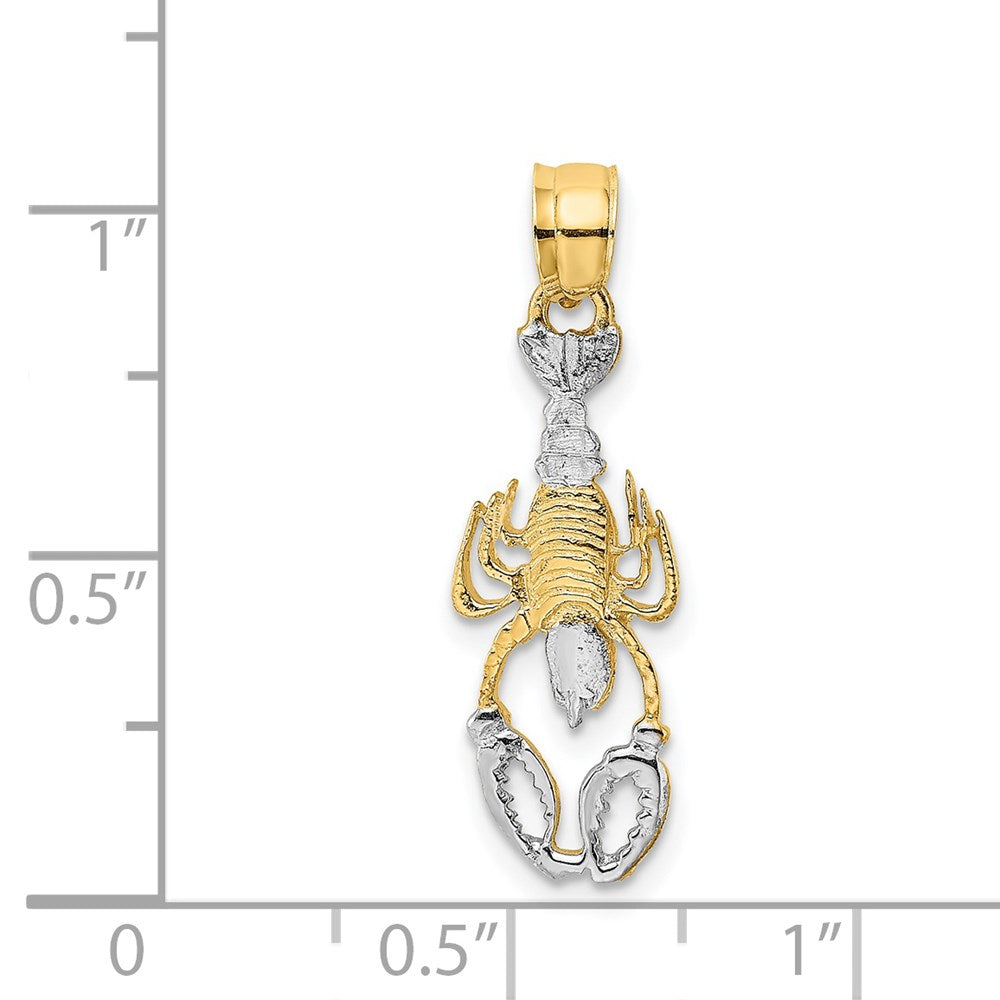 14K with White Rhodium Lobster Charm - Product Photo