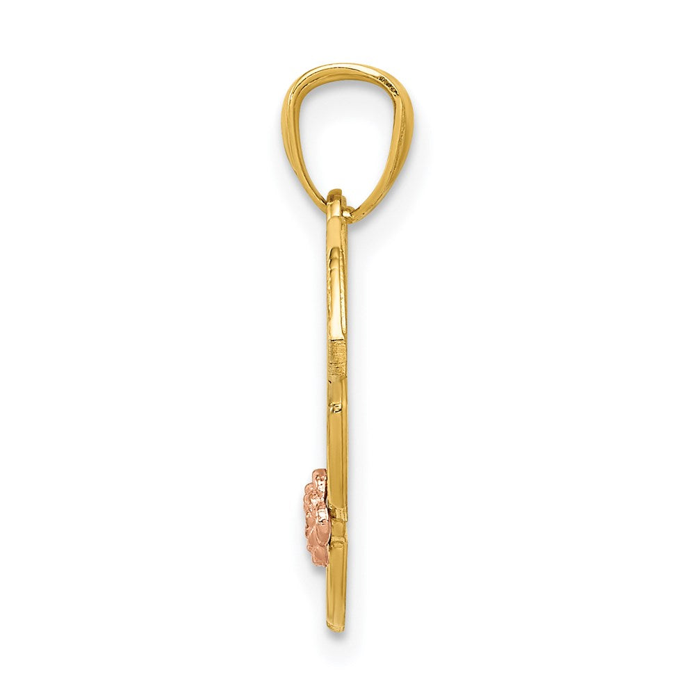 14K Two-tone with White Rhodium 
