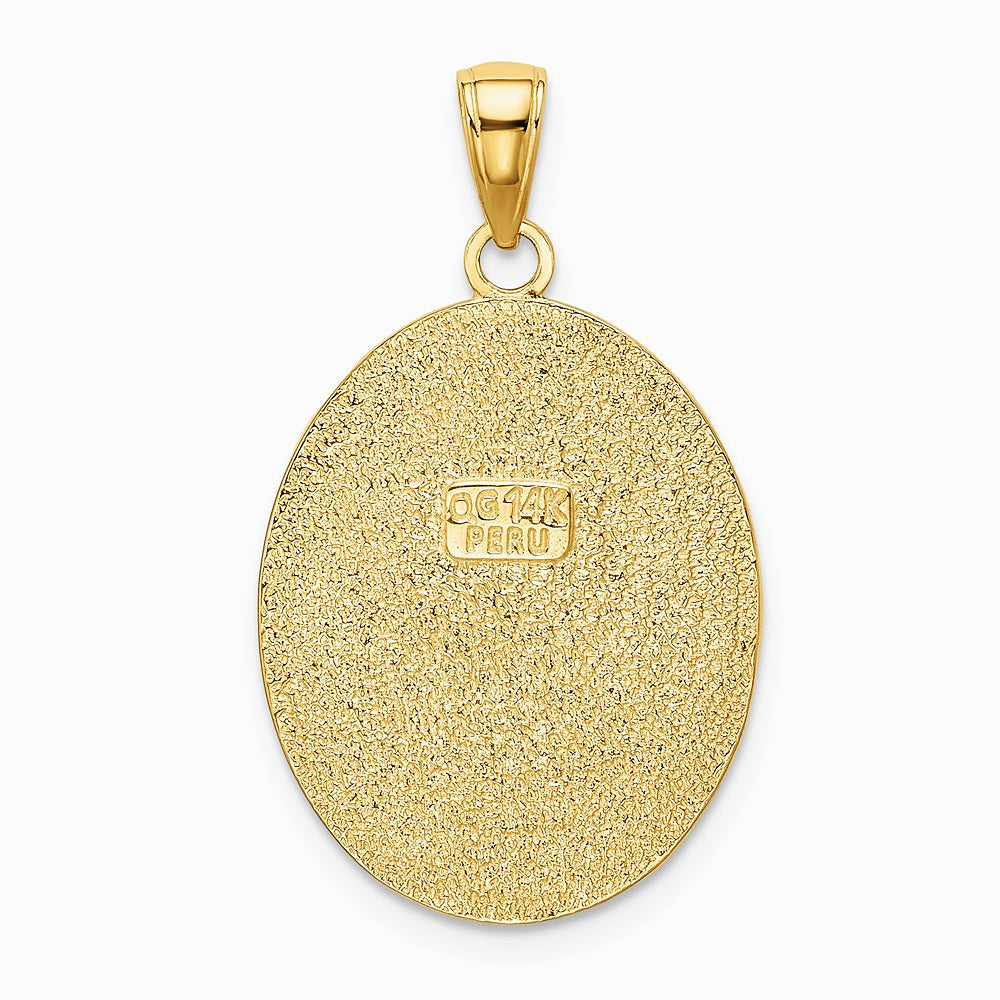 10K / 14K Yellow Gold Fleur-De-Lis on Oval Disk Pendant - Product Photo