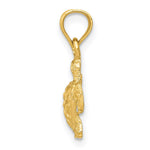 14K Turtle Pendant - Product Photo