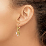 14K Enameled Conch Shell Leverback Earrings - Product Photo