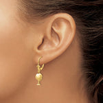 14K Palm Tree Leverback Earrings - Product Photo