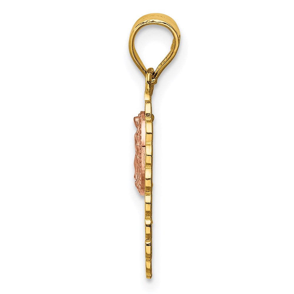 14K Two-tone 15 Guadalupe Pendant - Product Photo