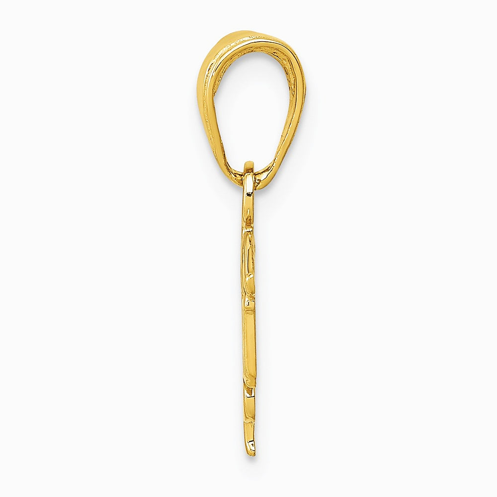 10K / 14K Yellow Gold LPN Symbol Pendant - Product Photo