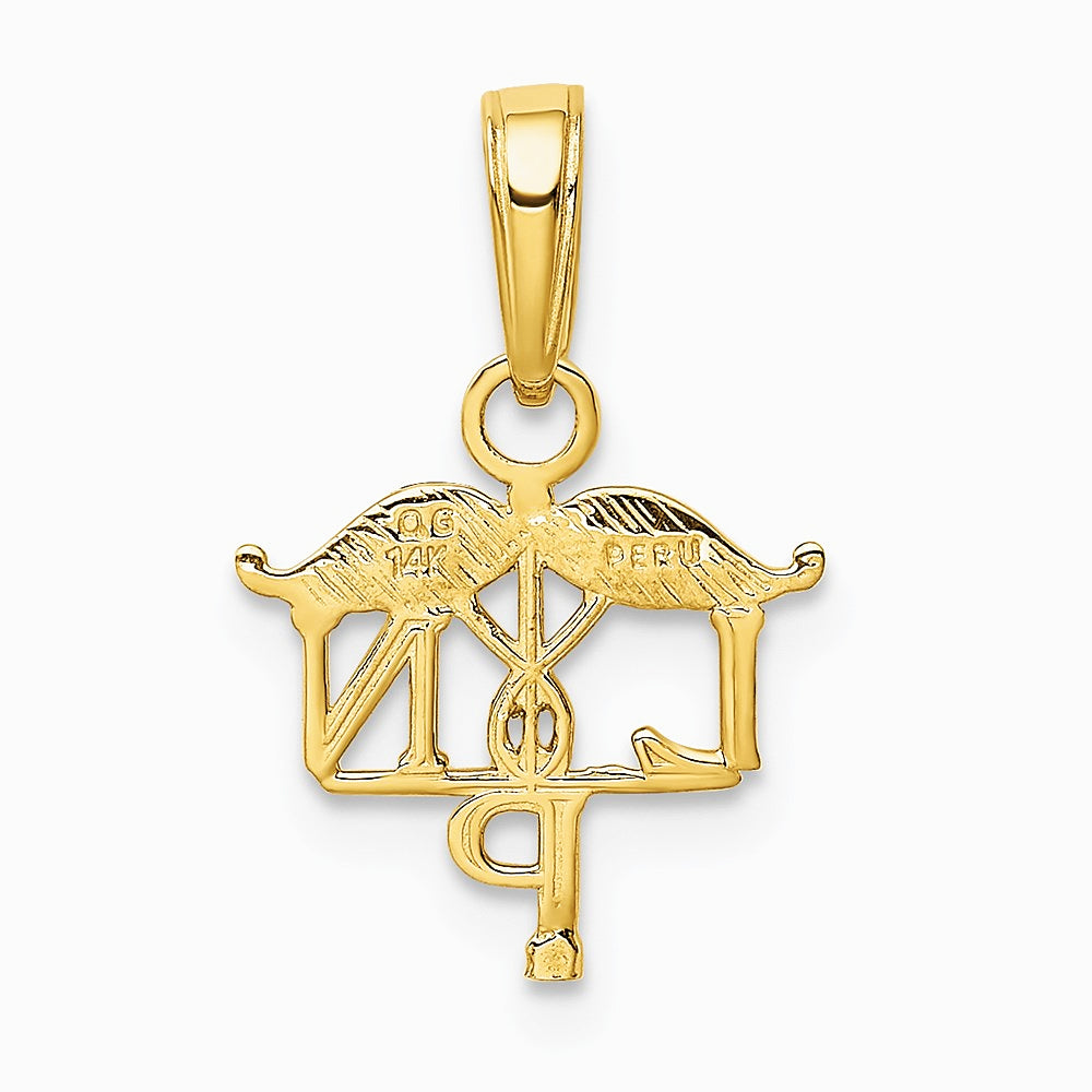 10K / 14K Yellow Gold LPN Symbol Pendant - Product Photo