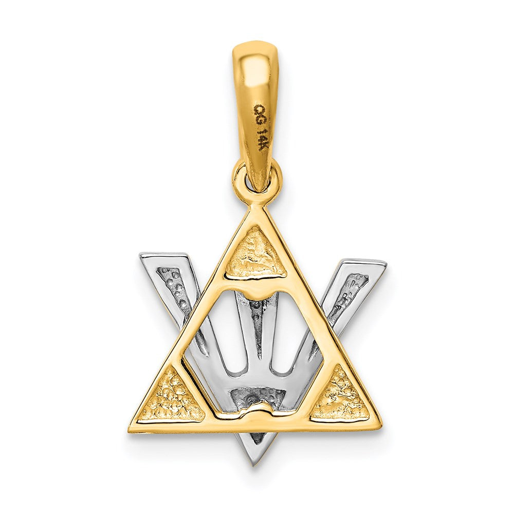 14K Two-tone Star of David w/Shin Charm - Product Photo
