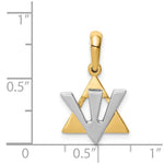 14K Two-tone Star of David w/Shin Charm - Product Photo