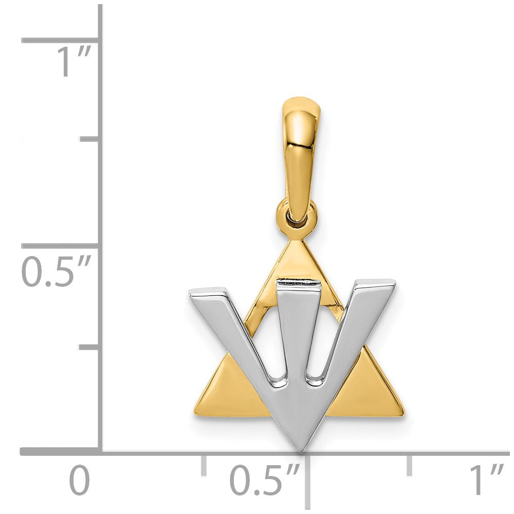 14K Two-tone Star of David w/Shin Charm - Product Photo