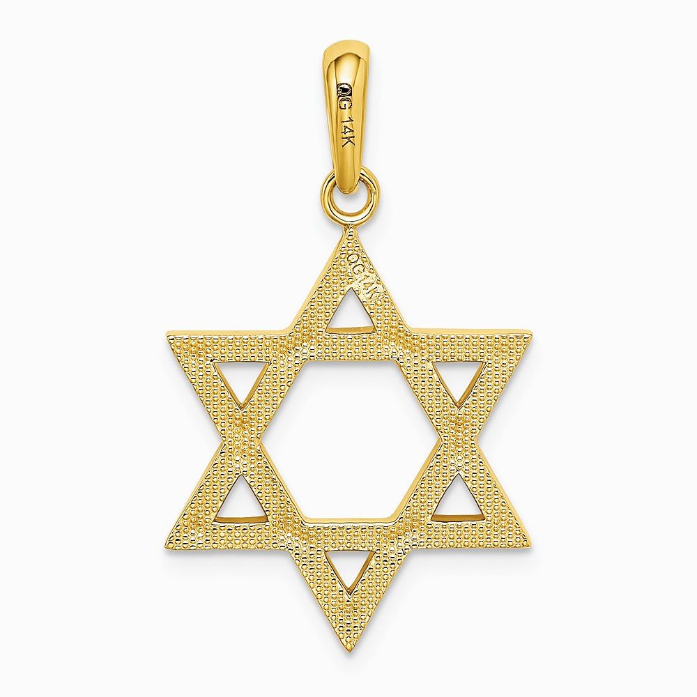10K / 14K Yellow Gold Star of David Pendant - Product Photo
