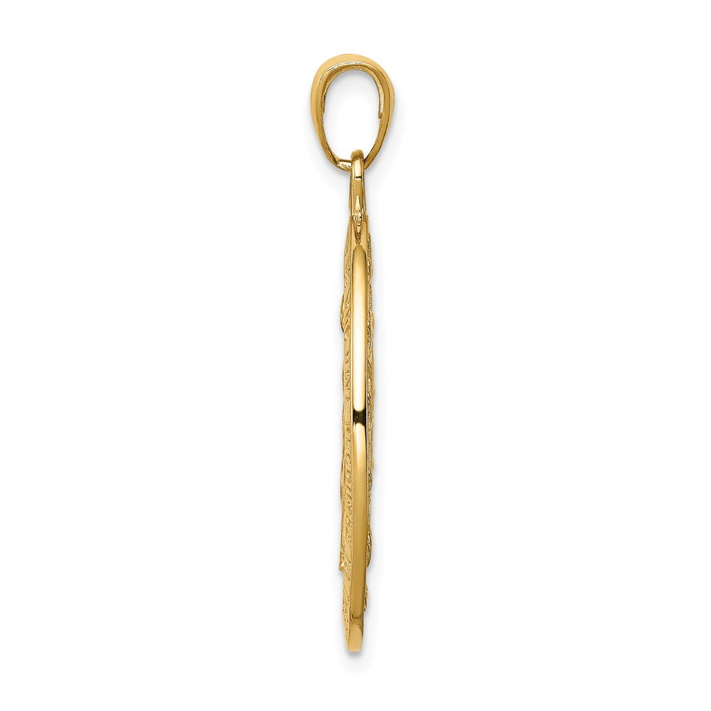 10K / 14K Yellow Gold Gold Satin and Polished Finish Miraculous Medal Pendant - Product Photo