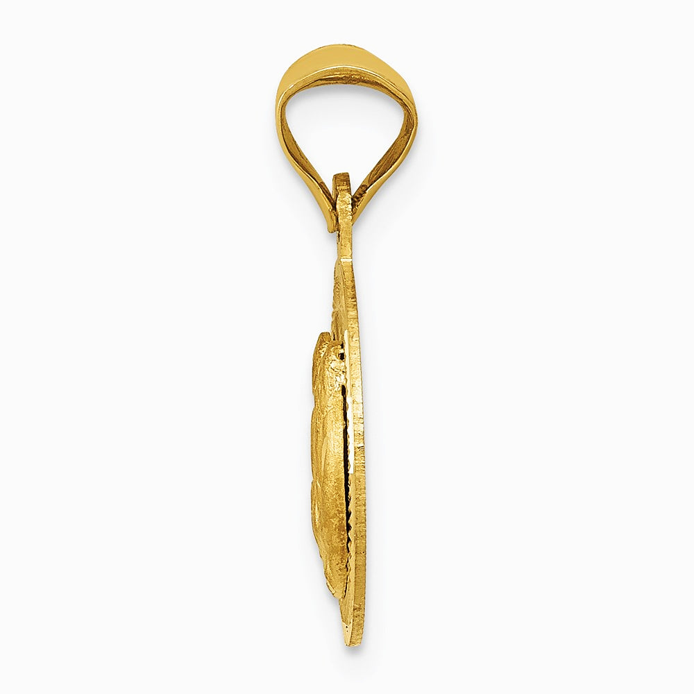 14K Yellow Gold Polished and Diamond-Cut Baptism Circle Pendant - Product Photo