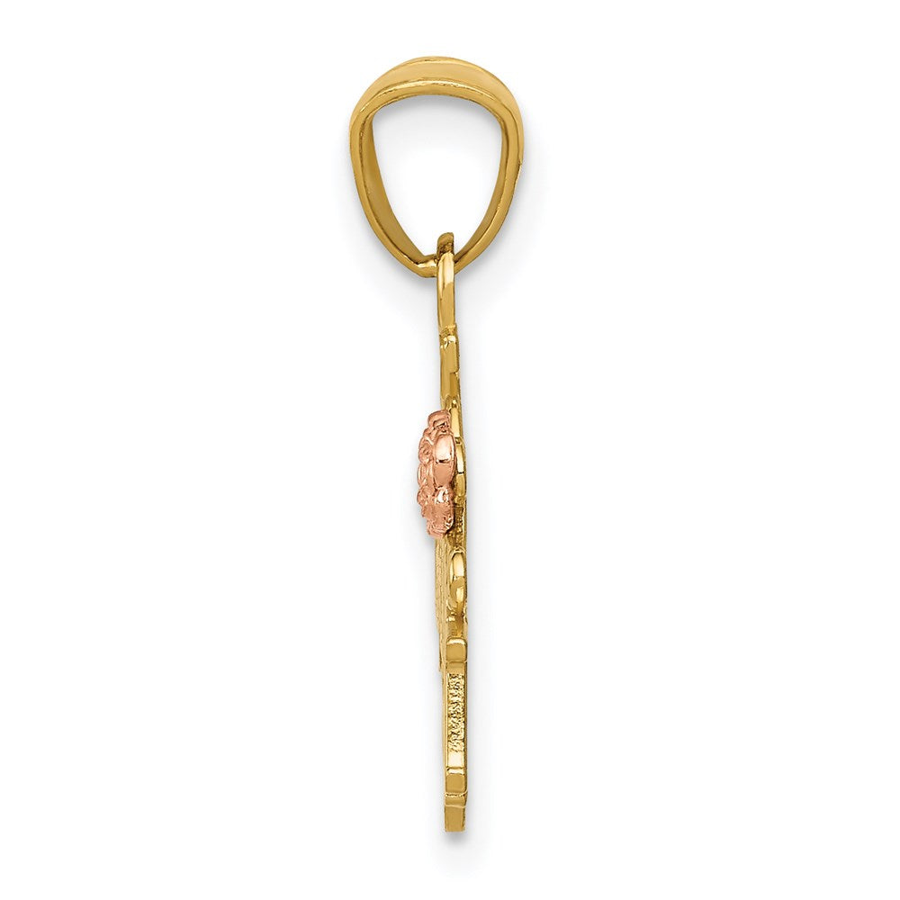 14K Two-tone Yellow & Rose Diamond-cut 