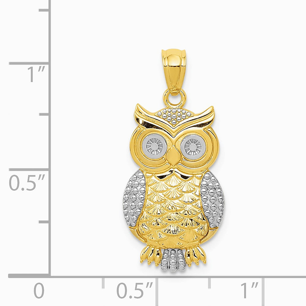 10K / 14K Yellow with Rhodium & Rhodium Polished & Textured Owl Pendant - Product Photo