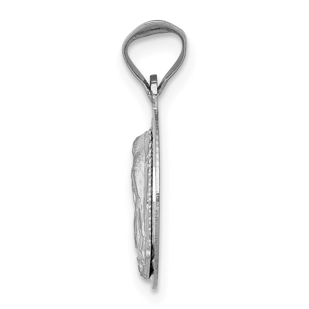 14K White Gold Our Lady of Guadalupe Semi-solid Round Pendant - Product Photo