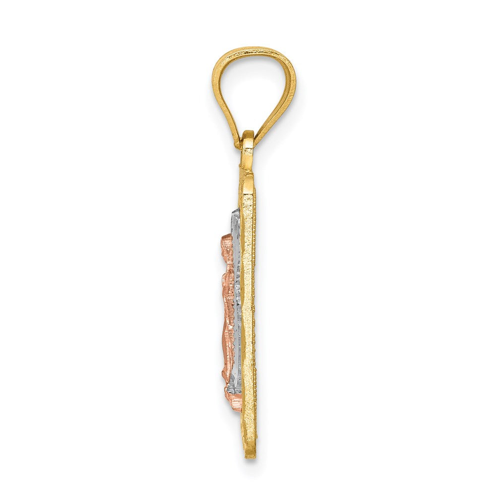 14k Two-tone w/White Rhodium D/C Lady of Guadalupe Pendant - Product Photo