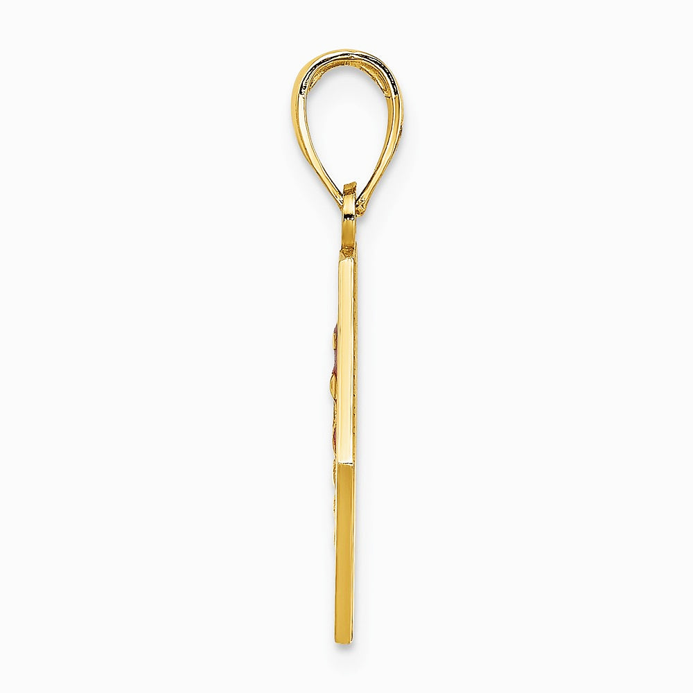 10K / 14K Yellow Gold Enameled Medical Disc Pendant - Product Photo