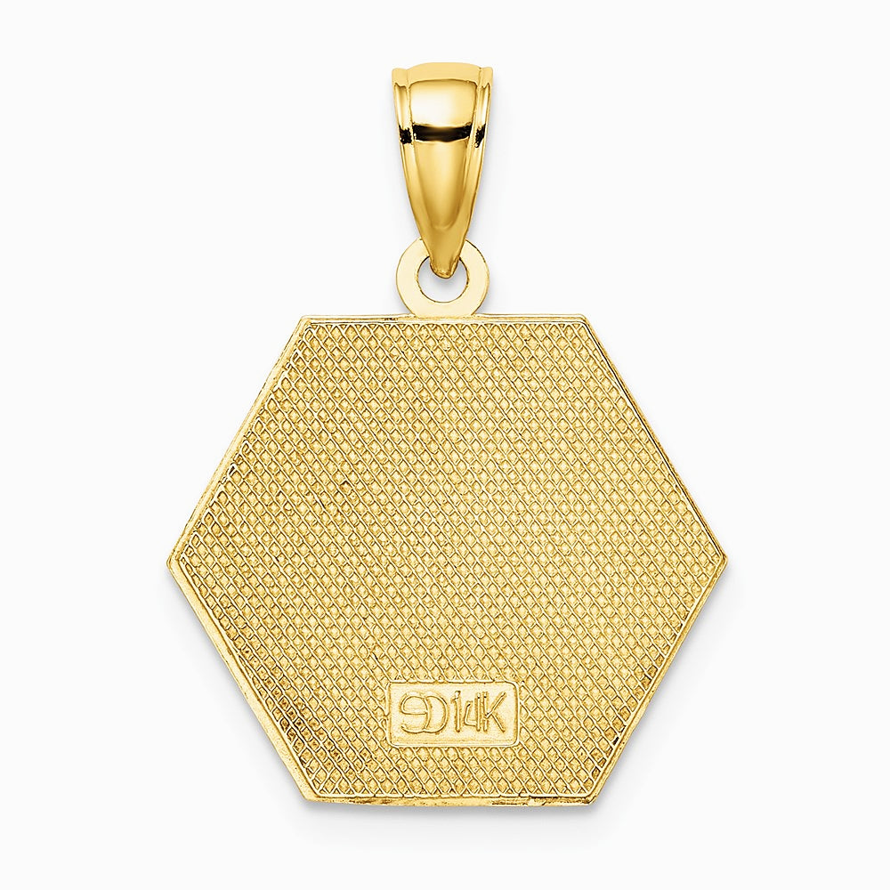 10K / 14K Yellow Gold Enameled Medical Disc Pendant - Product Photo