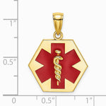 10K / 14K Yellow Gold Enameled Medical Disc Pendant - Product Photo