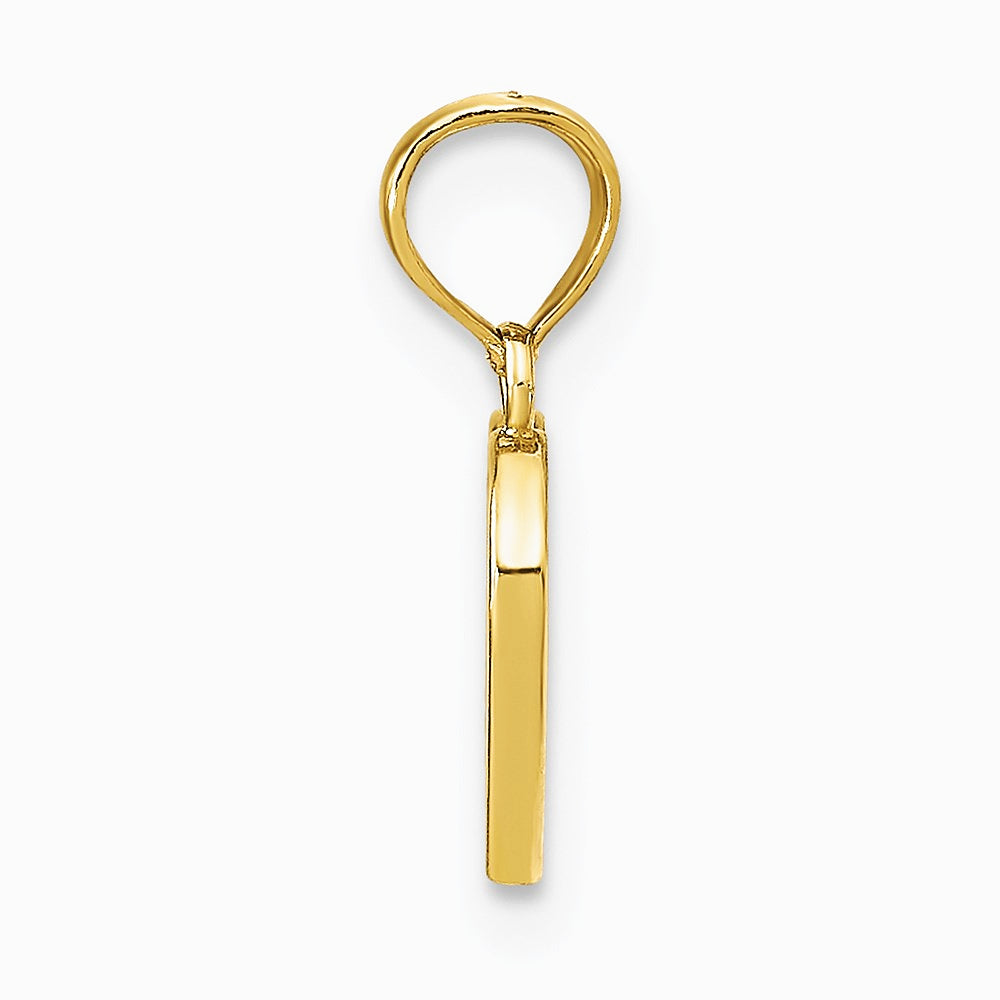 14K Yellow Gold Polished Enameled Heart Pendant - Product Photo