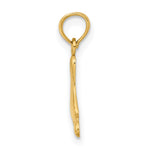 10K / 14K Yellow Gold Polished Foot Charm - Product Photo