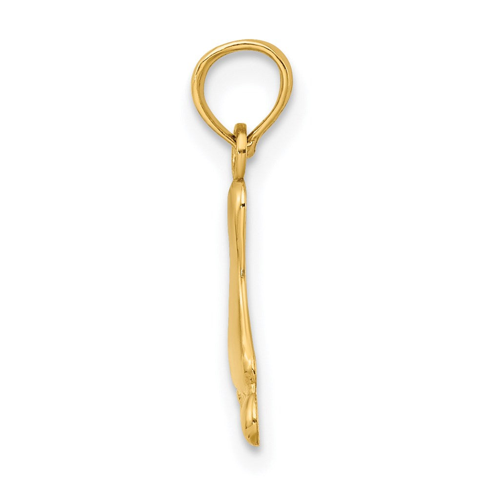 10K / 14K Yellow Gold Polished Foot Charm - Product Photo