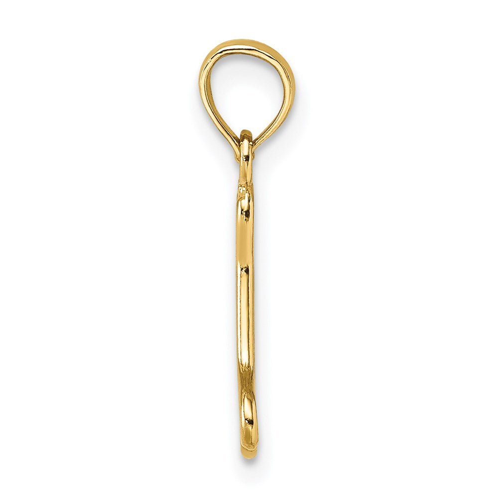 10K / 14K Yellow Gold Cut-Out Polished Mini Dog Bone Charm - Product Photo