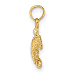 10K / 14K Yellow Gold 3-D Mini Sea Turtle Charm - Product Photo