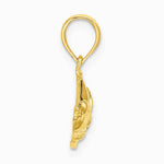 10K / 14K Yellow Gold Polished Textured Fish Charm - Product Photo