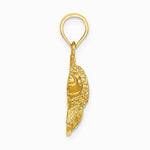10K / 14K Yellow Gold Textured Angel Fish Charm - Product Photo