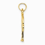 10K / 14K Yellow Gold Polished Charleston Palm Tree Charm - Product Photo