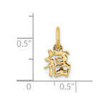 14k Chinese Symbol Good Luck Charm - Product Photo