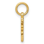14k Solid Polished Chinese Long Life Charm - Product Photo