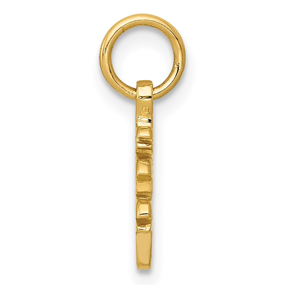 14k Solid Polished Chinese Long Life Charm - Product Photo